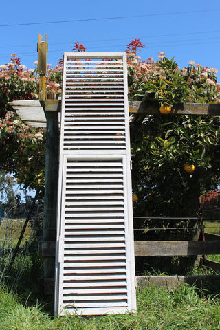 Fone Circa 1900 Shutters x 2 Large