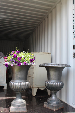 Fone Circa 1900 Pair of cast iron English Urns