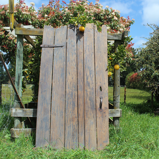fone 18th/19th Century Elm Plank Door